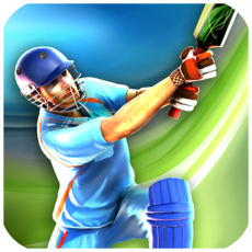 Activities of Smash Cricket Challenge