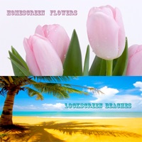 Real Home Screens PC 용