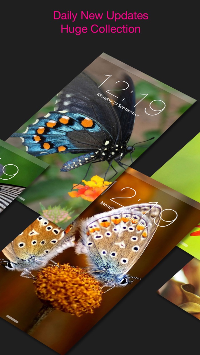 Butterfly Wallpapers  Backgrounds Themes Free App