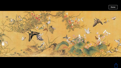 Flower and bird - Chinese painting series Screenshot 2