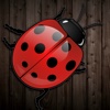 Ladybug Spider Fairway Jump Solitaire Puzzle Free