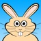 Platform Hopper - Endless Rabbit Jump Reflex Game