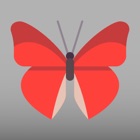 Top 50 Games Apps Like Butterfly Go! - Travel and catch them all - Best Alternatives