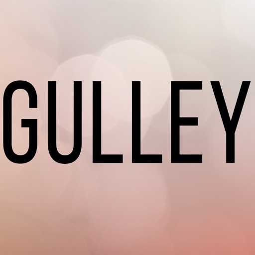 Gulley Bail bonds