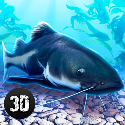 Catfish Underwater Life: Fish Simulator 3D icon