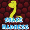 Snake Madness