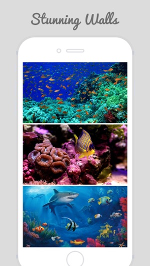 Underwater World Wallpapers(圖3)-速報App