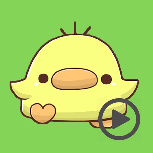 Momo Chick Animated