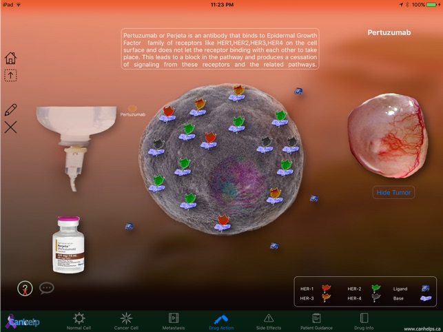 Pertuzumab(圖3)-速報App