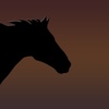 Horse Racing Manager