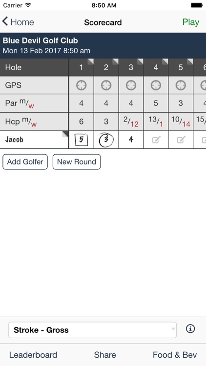 Blue Devil Golf Club screenshot-3