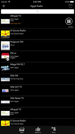 Game screenshot Egyptian Radio apk