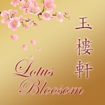 Lotus Blossom