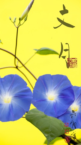 動く・はなといろカレンダー - そよ風に揺れる美しい花たちのおすすめ画像2