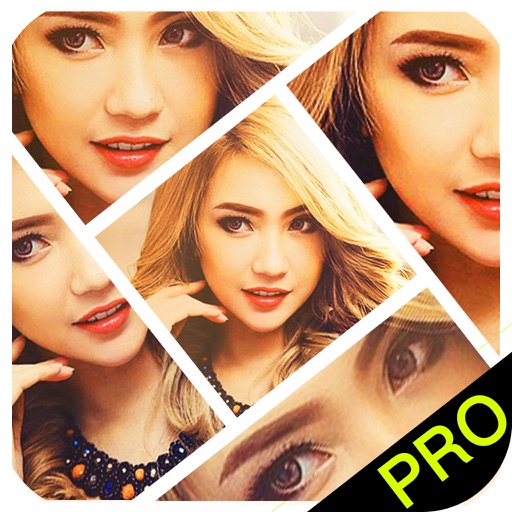 Art Photo Collage Maker Pro>Edit pic with template