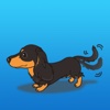 Happy Dachshund Puppy Sticker