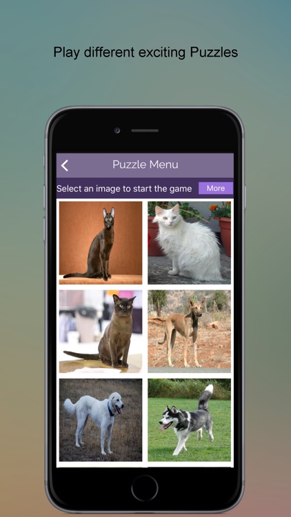 Pet Animals SMART Guide screenshot-4