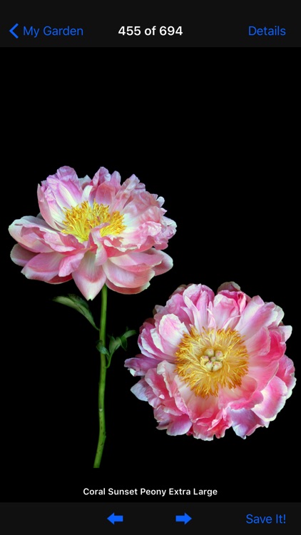 Flowerwheel