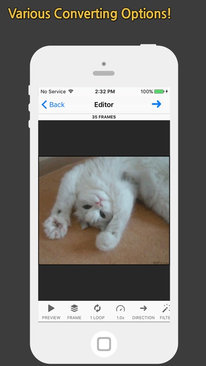 GIF Toaster - GIF Maker