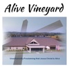 Alive Vineyard