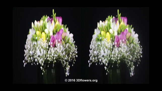 3Dflowers App(圖3)-速報App