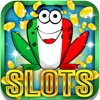 The Venice Slots: Join the Italian gambling house