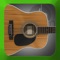 PlayAlong Acoustic Guitar