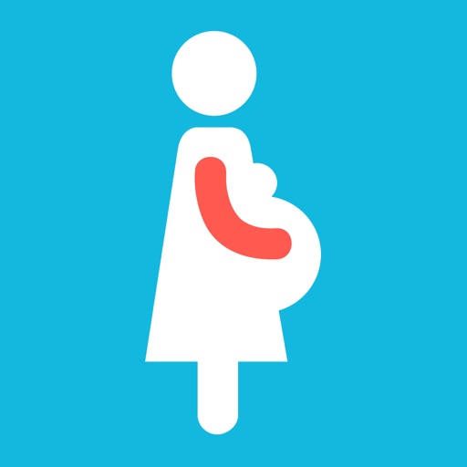 Pro Pregnancy Organizer (Checklist)