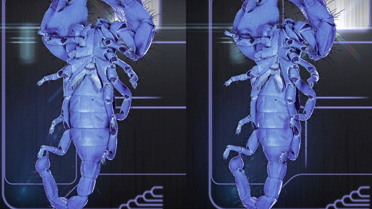 VR scorpions screenshot-3