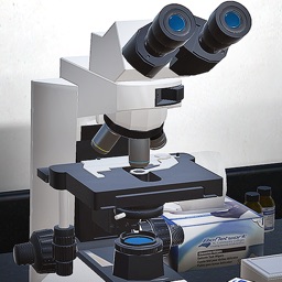 BioNetwork: Virtual Microscope