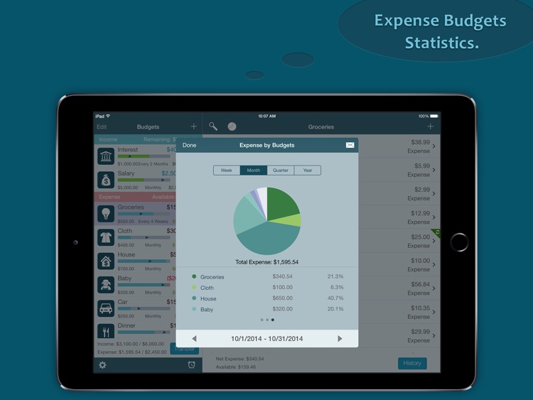 Best Budget Pro for iPad - Control your Expense