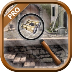 Activities of Hidden Objects Crime Evidence Pro