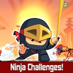 Ninja Swing Challenges