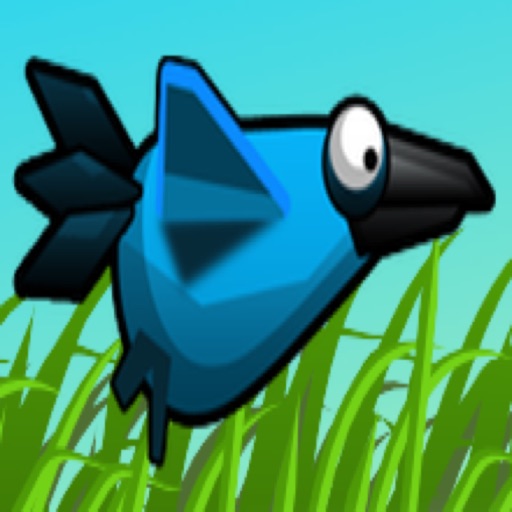 Crappy Wings iOS App