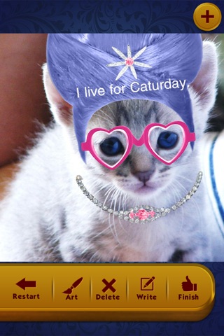 Caturday - Funny Cat Photos screenshot 2