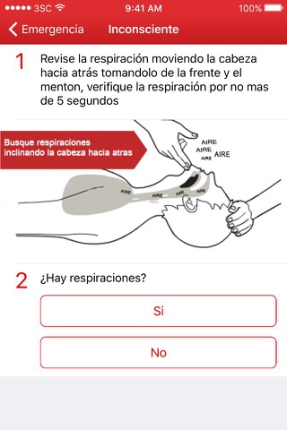 Primeros Auxilios – Cruz Roja Peruana screenshot 3
