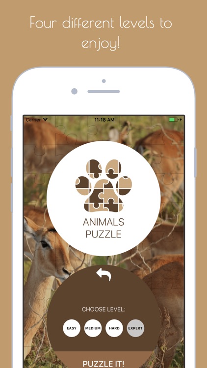 Animals Puzzle - Play with your favorite animals screenshot-4
