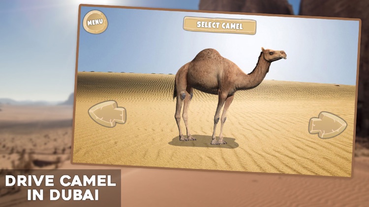 Drive Camel Simulator