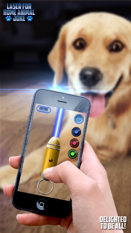 Laser for Home Animal Joke