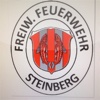 FF Steinberg