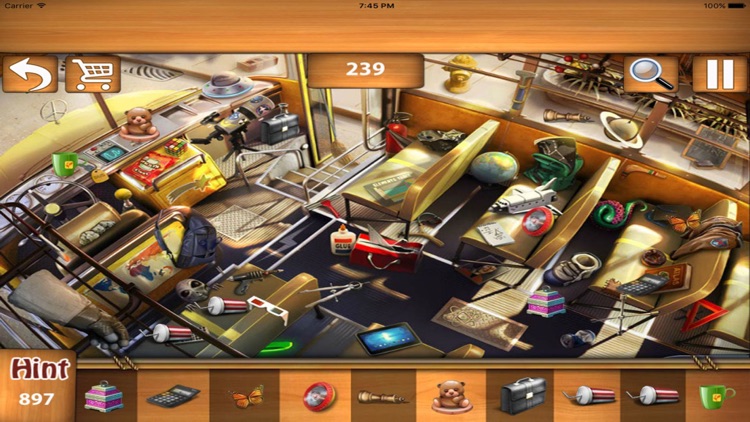 Free Hidden Objects : Two Words screenshot-3