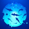 Underwater world - Fishing sea fishing Sea