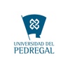 Universidad del Pedregal