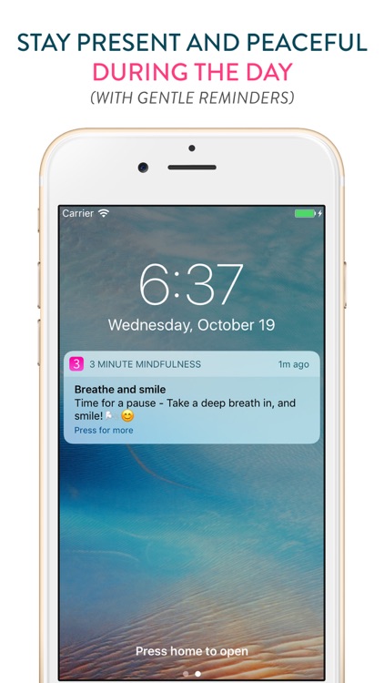 3 Minute Mindfulness screenshot-4