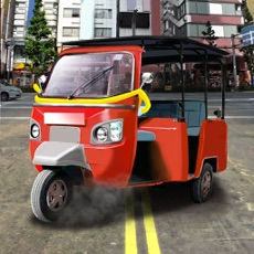 Activities of Driver Moto Rikshaw Simulator