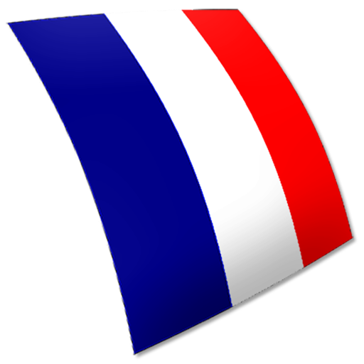 French FlashCards icon