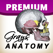 Gray's Anatomy Premium for iPad