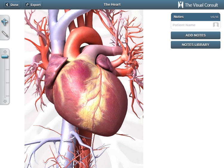 The Visual Consult: Cardiology