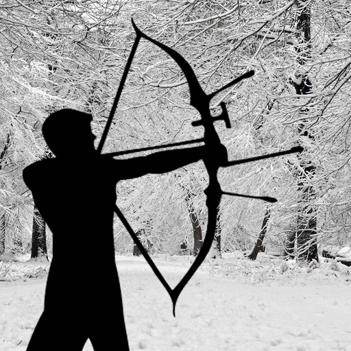 Arc Warrior In Arctic : Play Archery with the King iOS App