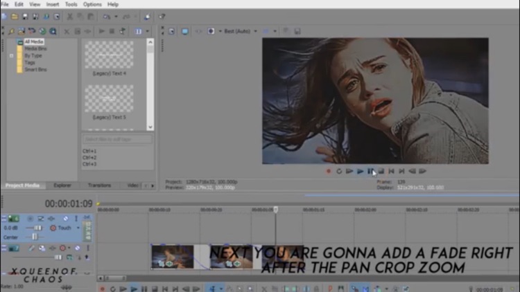 Make It Simple! For Sony Vegas Pro screenshot-4